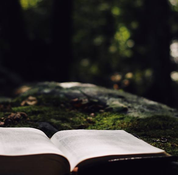 Waarom vieren christenen de rustdag op zondag, en niet op zaterdag – de Sabbat – zoals God in het Oude Testament bevolen heeft?